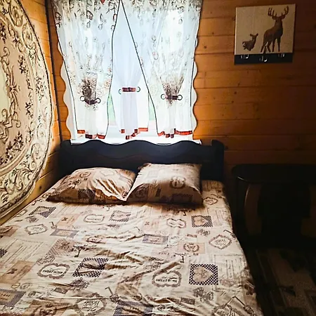Apartment 7я
